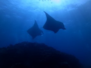 IMG_2488