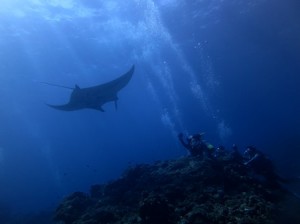 IMG_2489