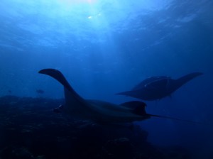 IMG_2498