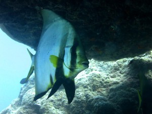 IMG_2533