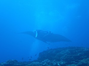 IMG_2551
