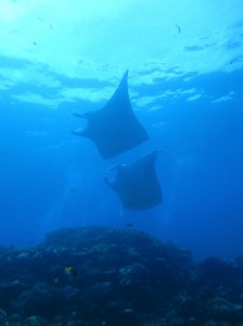 IMG_2563