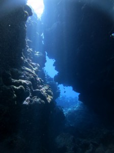IMG_2578