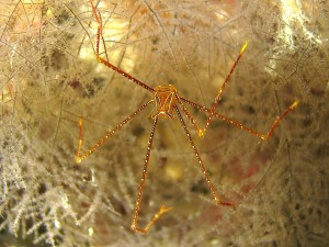 IMG_2587