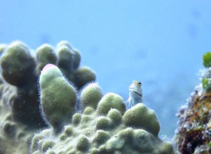 IMG_2608