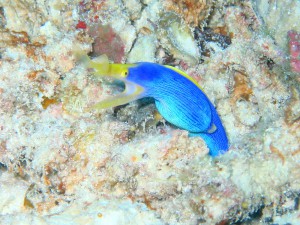 IMG_2682