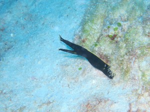 IMG_2683