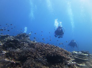 IMG_2758