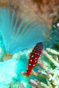 IMG_2883