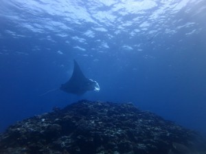 IMG_2933