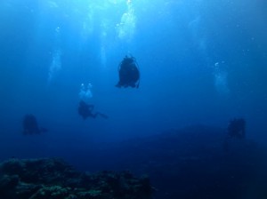 IMG_2941