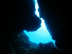 IMG_6931