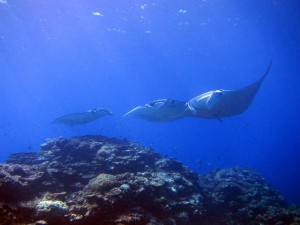 IMG_7235