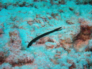 IMG_7315
