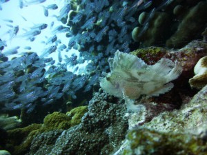 P1130413