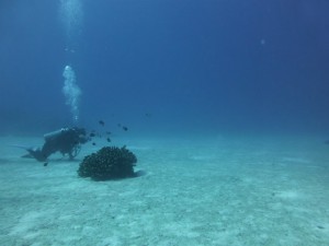 P1130423