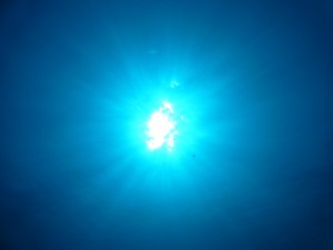 P1130426