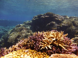P1140045