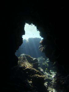 P1140054