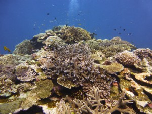 P1140073