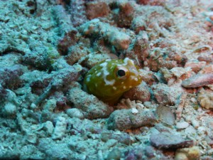 P1140137