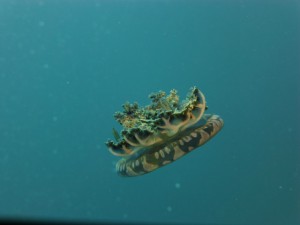 P1140142