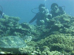P1140151