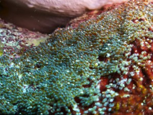P1140163