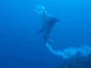 P9100046