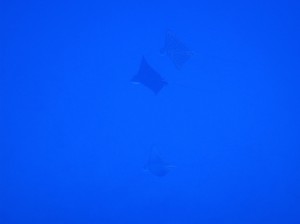 IMG_0120