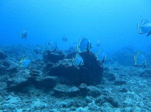 IMG_3082