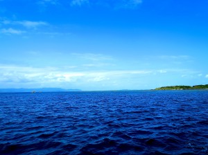 IMG_3322