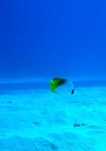 IMG_3407