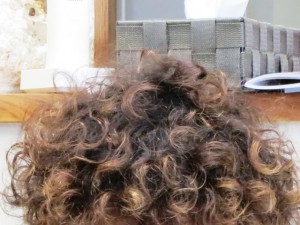 IMG_3492
