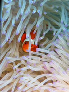 P1140410