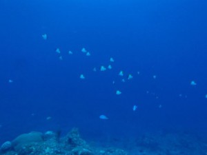 PC020027_R