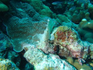 PC020062_R