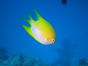 IMG_0986