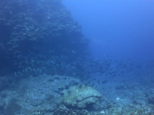 IMG_1019