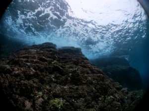 IMG_1020