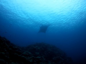 IMG_1025