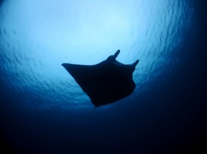 IMG_1030