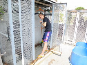 IMG_1456