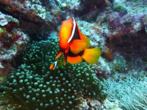 P1160003
