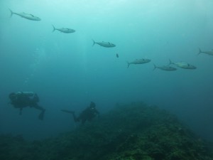 P1160014