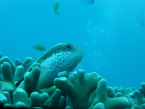 P1160036