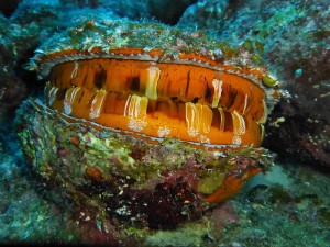 P1160077