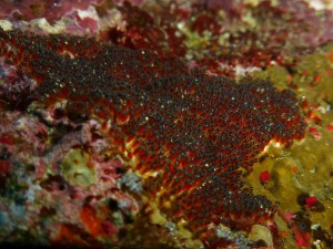 P1160083