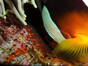 P1160084