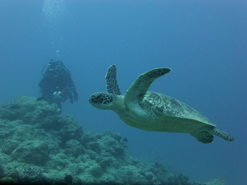P1160119